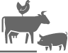 humane healthy livestock icon